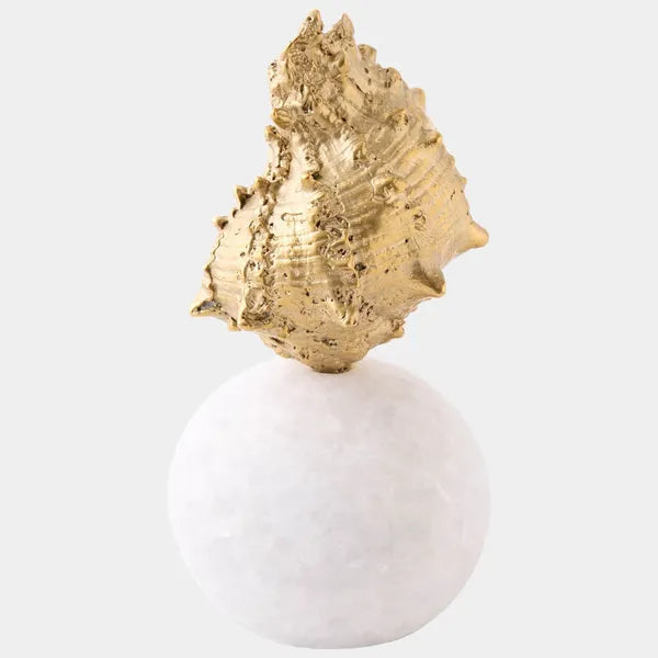 Kings Crown Shell Sculpture, Gold/White